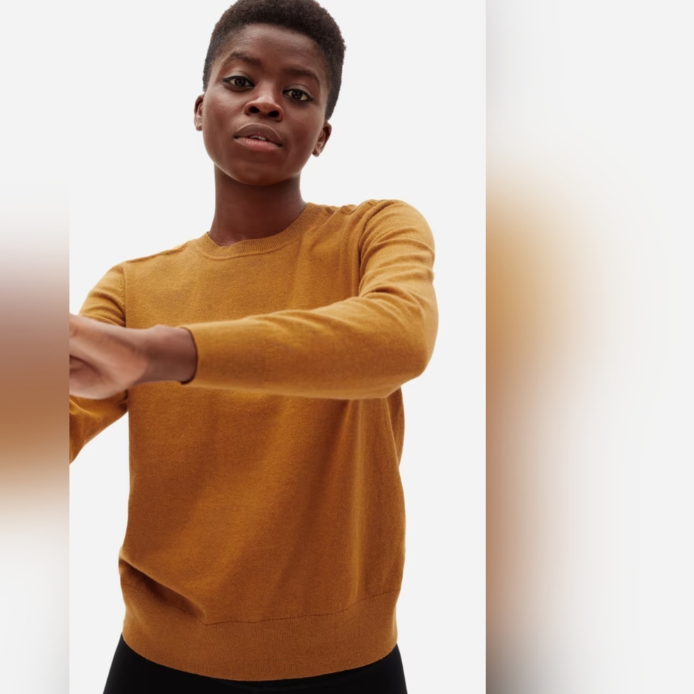 Everlane The Organic Cotton Crewneck Sweater